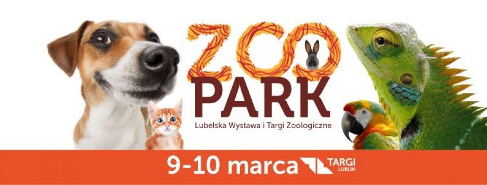 Najciekawsze atrakcje dla dzieci w marcu w Lublinie!